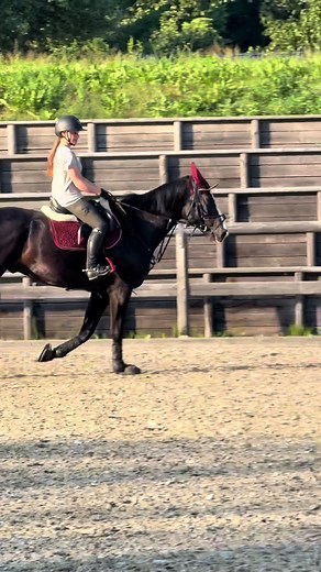 посадка>>>🥹 #equestrian #horses #horseoftiktok #horse #horseriding #horsejumping #horserider #horsegirl #horselover #рек #рекомендации