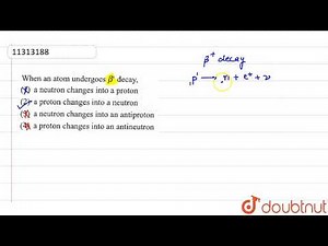 When an atom undergoes `beta^(bar)` decay