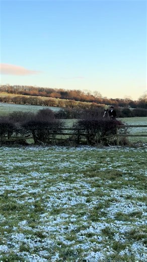 Harvey's Day of Showjumping with Quorn