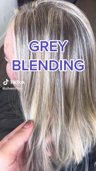 Grey Blending Highlights for Natural Hair Color Transformation