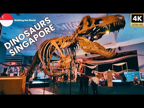 Life-Size Dinosaurs in Singapore! 🦖 Inside the MASSIVE Dino Exhibition at Science Centre [4K]