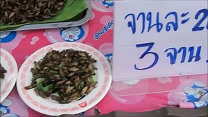 Chilies, Lemongrass Crickets. A bag of deep-fried insects used to be known as a popular snack among bar girls and lower-paid workers but there are now many students and office workers buying them. The popularity of insects, it seems, is universal and classless. | Thailand Travel