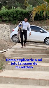 Cosas que pasan jefe 🥲😂 ¿Te a pasado? 🤔 . . @bladimir_roble . #huskylover #huskysiendohusky #viralreels #parecememe #humor😂 #perro #perrogram #perrogracioso #viralreel #intagram #instagrammemes #siberiano #jefe #cosasquepasan #paratii | Blog Beethoven