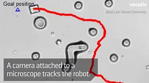 95K views · 1.4K reactions | These bacteria-powered robots could...