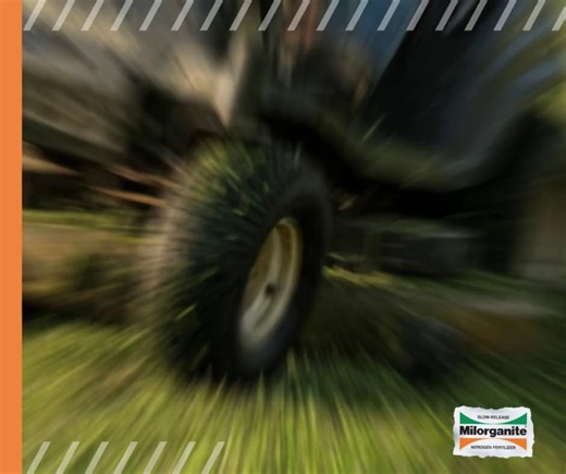  Uneven or lumpy lawn? Over time, lumps, bumps, and dips can pop up from soil settling, heavy equipment, pests—or just everyday use. ✅ The key to a lasting fix: identify the cause before you repair. Fall is the perfect time to smooth things out for a healthier, better-looking lawn next spring. Learn how to tackle lumpy lawns here  https://www.milorganite.com/blog/Lawn/how-improve-lumpy-lawn | Milorganite Fertilizer | Facebook