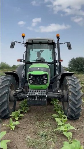 Deutz-Fahr Agrofarm 115G Working in a Tobacco Field 🌿 | German Power in Agriculture