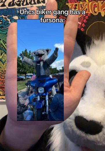 He used to be part of the angels. I found this intriguing. #furry #bikergang #hellsangles #fursuit #mascot #conservatives