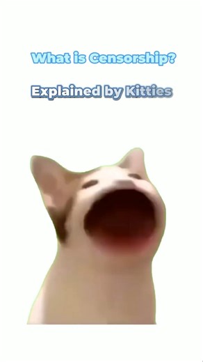 Kitty Explains What Is Censorship