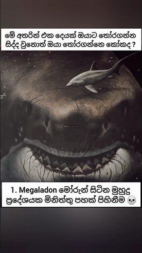 ඔයා තෝරගන්නෙ මොකක්ද ? 💀😰 #sinhala #horror #horrorstories #creepy #creepystories #documentary #facts