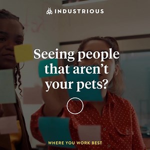 34 reactions · 5 comments | Feeling like a boss when you walk into work? Check. A morning bagel always waiting for you? Check. Seeing people that aren’t your pets? Check. Workspace more comfortable than your couch? Check. An office that actually motivates and inspires you? Check. | Industrious | Facebook