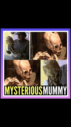 Forbidden truth on Instagram: "🔴A Strange Mummy in Peru 🔺In Andahuayllas, the private museum Ritos Andinos houses a bizarre mummy discovered in 2010. 🔺Its 50 cm skull towers over the body, with huge eye sockets and strange fangs—definitely not human. Remnants of an eyeball remain, and DNA samples were taken… but the results were never published. Why? . . . . . . #scary #scarymovie #alien #aliens #alienware #alienabduction #alienlife #aliensky #reptiles #reptil #reptilesofinstagram #reptilian