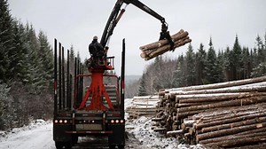 Maine loggers are used to hard times. Then came the tariffs.