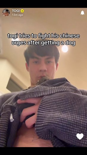 bro wanted a taste 😭 @togi @stoffer__ #togi | TogiBruh