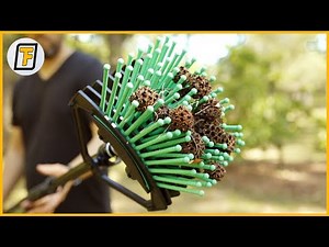 GARDEN FASTER With These Modern GARDENING TOOLS ! - Patio Moss Removal Made Easy