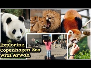 Exploring Copenhagen Zoo||A day in Zoo with Arwah|| Zoo in Copenhagen || wild life||