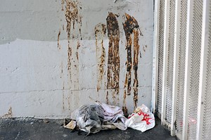 Hollywood's Mysterious Poop Graffiti