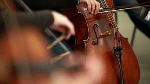 Orchestra Rehearsal Man Playing Cello Bowed Stock Footage SBV-311358956 - Storyblocks