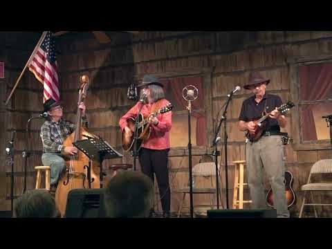 New Camptown Races - Bluegrass Standard - Live Performance