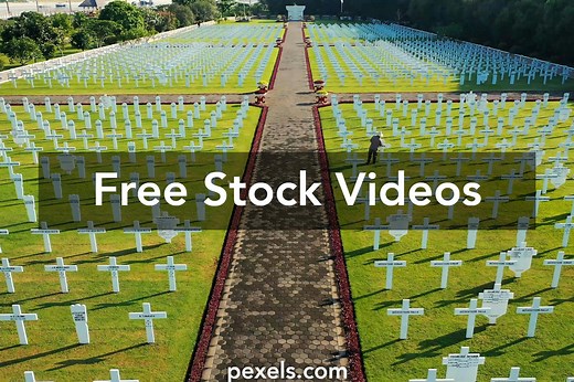 Death Videos, Download The BEST Free 4k Stock Video Footage & Death HD Video Clips