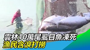 3.7K views · 53 reactions | 超過10萬尾虱目魚翻肚凍死Q_Q 心血都........
