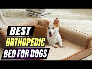 The BEST Orthopedic Dog Beds of 2026: Say Goodbye to Joint Pain & Hello to Comfort!