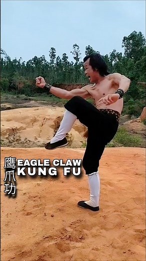 Eagle Claw Kung Fu⚡Master-Level Precision Combat
