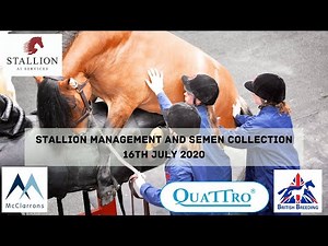 Tullis Talks about Stallion Management and Semen Collections with British Breeding 16th July 2020