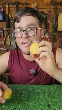 Never do this when storing your lemon!
