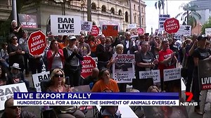 21K views · 414 reactions | Hundreds of people gathered outside Brisbane's Parliament House this morning calling for an end to live exports. www.7plus.com.au #7News | 7NEWS Brisbane | Facebook
