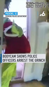 Don't worry folks, the Grinch did not steal Christmas this year! Officers in South Carolina released bodycam footage after they "arrested" the "mean one, Mr. Grinch." It was an attempt by the police department to wish their community a happy holiday season, and in at least one comment on the footage, the police department said it was glad they could bring a smile to people's faces with their staged arrest. #christmas #grinch #police #SouthCarolina | NBC 6