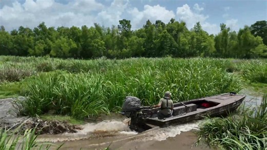 BUILD YOUR CUSTOM PRO DRIVE TODAY! Looking for a boat that doesn’t quit? Whether you’re hunting flooded timber, hitting those shallow water spots, or cruising the backwaters at dawn, a custom Pro-Drive boat gets you there with power, precision, and unmatched shallow-water capability. Pro-Drive Outboards Built tough with heavy-duty marine aluminum and designed by outdoorsmen for outdoorsmen. You choose your layout, camo, and power package. Your perfect rig is just a few clicks away https://buildm