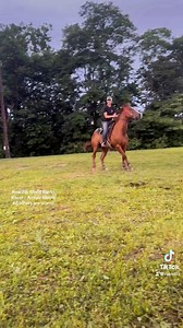 Just another day in barrel racer land #horse #fyp #fypシ #misfitbarrelracer #barrelracer #barrelracing #barrelhorse #equine #equestrian #equestrianlife #horses #horsesofreels | Misfit Barrel Racer - Amber Morris