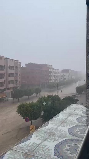 Majid Rami en España: ¿Qué debes saber?