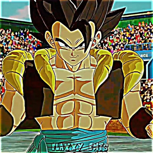 gogeta vs bulchi !!