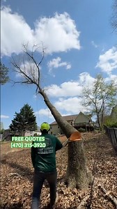 Tree Removal
