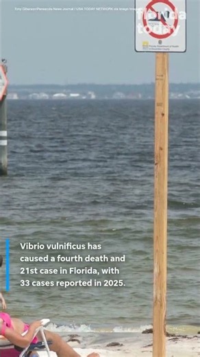 'Brain-eating' amoebas and other Florida risks