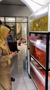 Ingin mempercantik rumah, kantor, atau koleksi pribadi dengan ikan hias berkualitas?