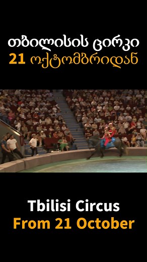 🎪 21 ოქტომბრიდან თბილსის ცირკში🎪 | Georgian Circus