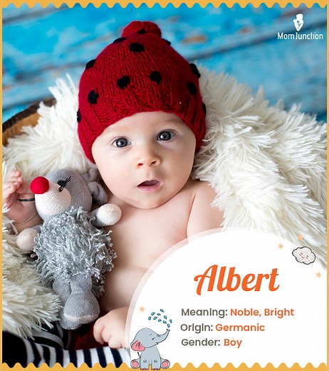 Albert Name Meaning And Origin: A Complete Popularity Guide
