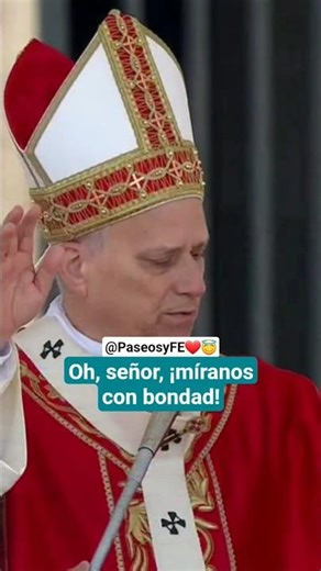 The Pope's moving plea and prayer on Palm Sunday 😇❤️ Walks and Faith 🙏