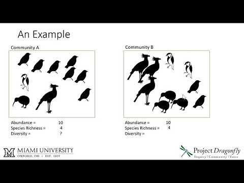 Abundance, species richness, and diversity