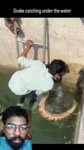പാമ്പ് പിടുത്തം 😂 #shorts #trending #viral #reels #short