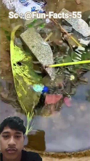 ya masuk kelubang‼️ #trendingshorts #funny #trending