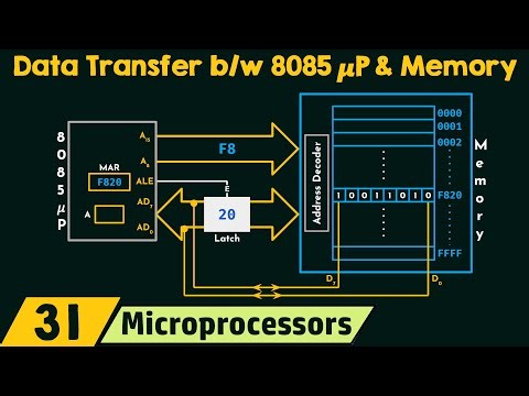 Data Transfer between 8085 Microprocessor and Memory