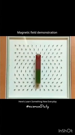 Magnetic field demonstration #science #physics #experiment