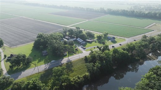 🎃 Pumpkins, live music & local flavors — Laurel Valley Fall Fest is here! Don’t miss the perfect autumn weekend! | Laurel Valley Plantation