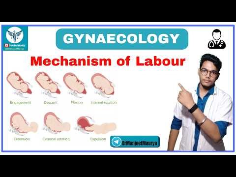 Mechanism of Labour | Seven Cardinal Movements of Labour | Labour and Delivery | Gynac & Obstetrics