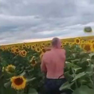 Man punching sunflowers meme