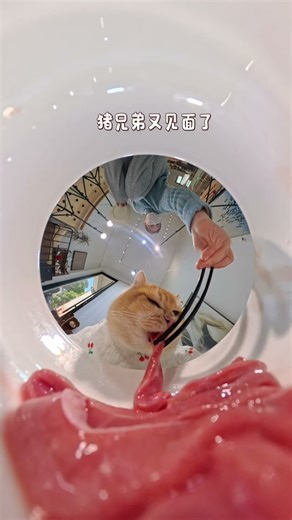 What is the experience of eating a meal in a toilet?