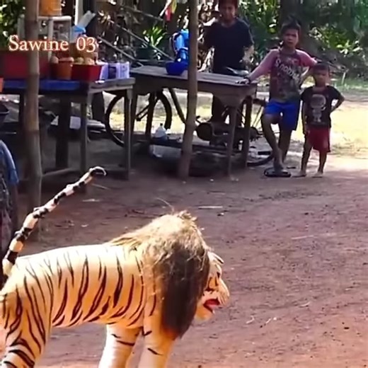 272 reactions · 5 comments | Don't try to laugh, the best funny sleeping dog joke | Physics Theories | Facebook